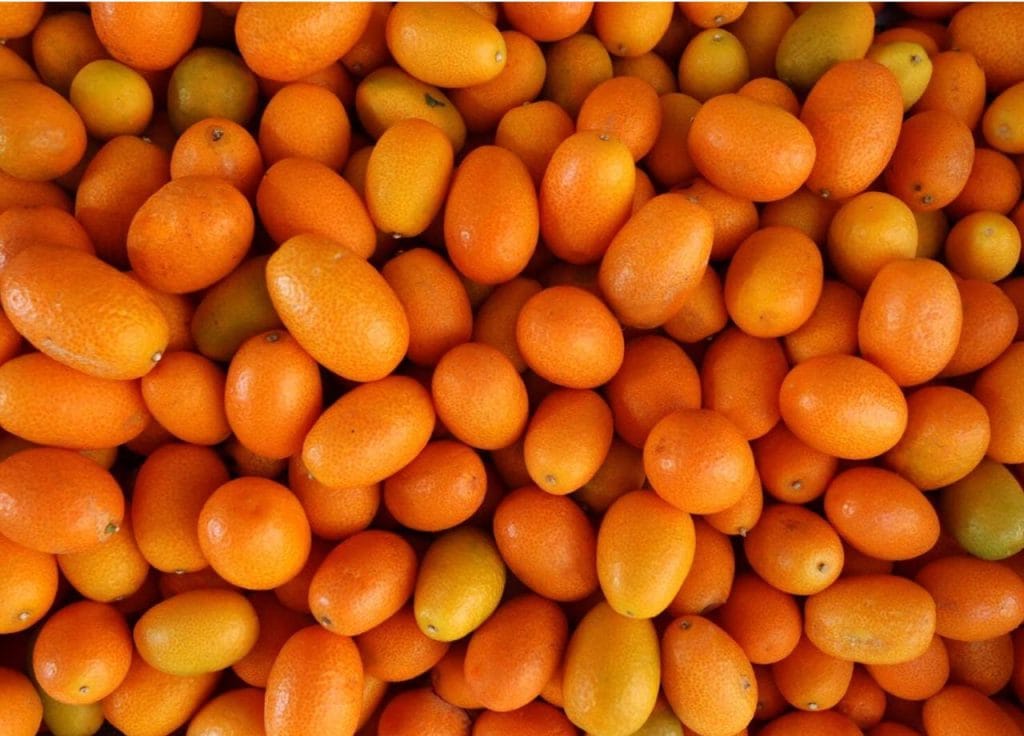 A Taste of Corfu, A Culinary Journey Beyond the Ordinary